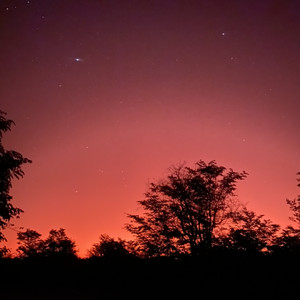 Botswanan nights — cover art