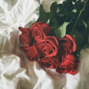 Roses Playlist By Danial Spotify