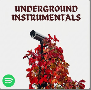 𝖀𝖓𝖉𝖊𝖗𝖌𝖗𝖔𝖚𝖓𝖉 𝕴𝖓𝖘𝖙𝖗𝖚𝖒𝖊𝖓𝖙𝖆𝖑𝖘 cover