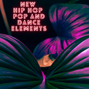 New Hip Hop / Pop And Dance Elements cover