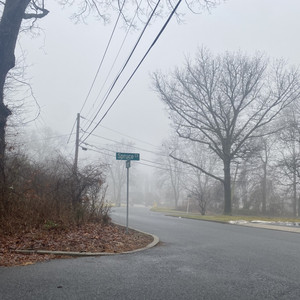 make algae, not war — cover art