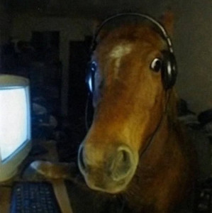 songs to listen while leading a horse to water — cover art