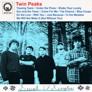 LP Wild 直筆サイン入り 希少 Onion Twin Peaks -