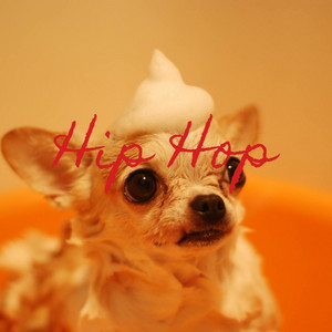 Hip Hop