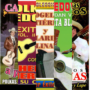 The Sound of Polka Norteña image