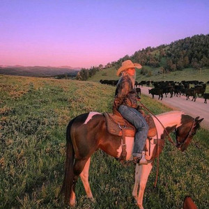 Saddle Up cover