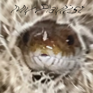 My Playlist 2018