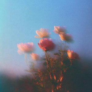 soft songs to sleep   ⋆˚꩜｡