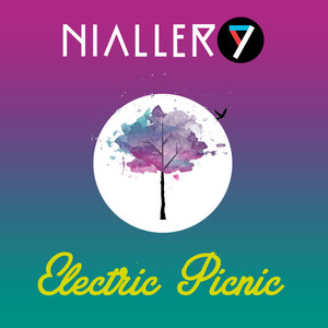 Nialler9's Electric Picnic 2016 playlist cover