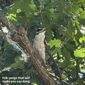 folk songs that will make you say dang
