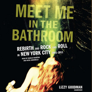 Meet Me in the Bathroom playlist cover