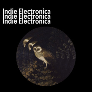 Indie Electronica
