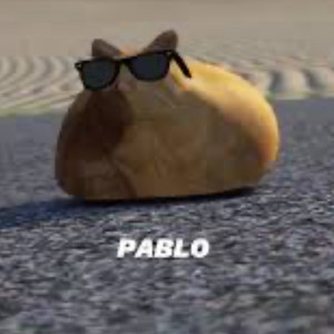 Pablo the race cat - playlist by beanlover02 | Spotify