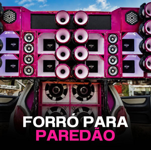 Forró para Paredão 2026 Atualizado  🔥 Verão 2027 | Novembro | Dezembro  Festa playlist cover