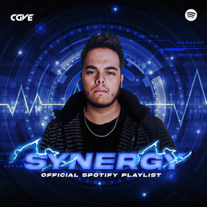 SYNERGY BEATS cover