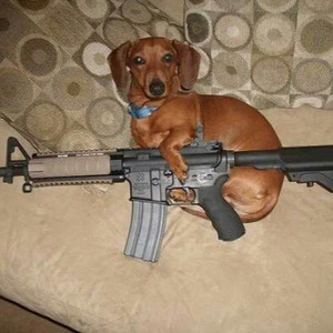 de bandido 🔫 cover