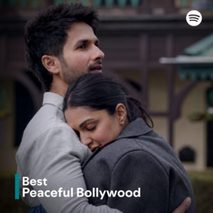 BEST PEACEFUL HINDI SONGS_forever_✨ Spotify playlist cover art