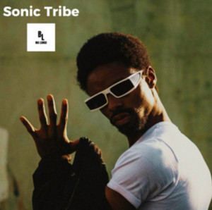 sonic tribe cover