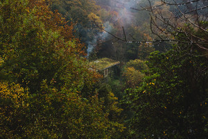 Chill autumn tunes. cover