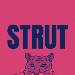 SONGS TO STRUT TO ( soul, disco and funky house) cover