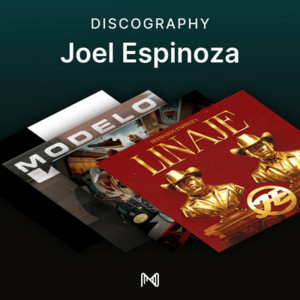 spotify image