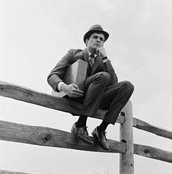On the Fence