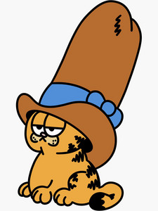 Cowpoke energy cover