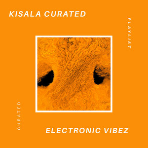 Electronic Vibez cover