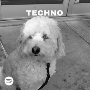 Techno Music 2025 cover