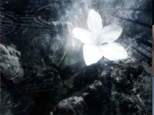 playlist by ⃟⃞ | Spotify