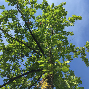 jazz espiritual — cover art