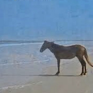 Songs Playlist By Garrett Spotify