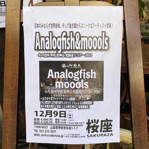 Analogfish | Spotify