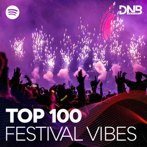 Drum and Bass | Festival Vibes  playlist cover
