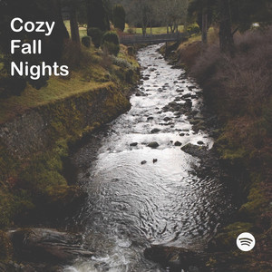 Cozy Fall Nights - folk playlist cover