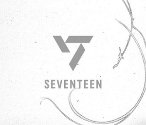 SEVENTEEN - all songs - playlist by boojeon | Spotify