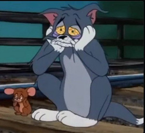 Imagem de Convolk