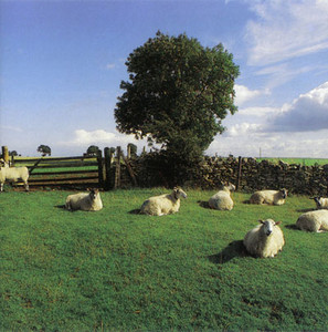 The KLF – Chill Out (Released: 5 February, 1990) - playlist by