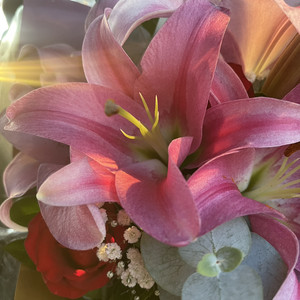 рџњє Playlist By Emi Spotify