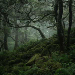 songs that should have been in twilight but weren't because they came ...