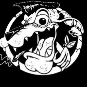 Imagem de The Hillbilly Moon Explosion