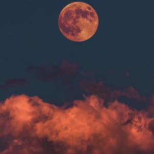 ♡♡♥️ Bachata, Salsa, Balada Top Ranking El Salvador.🇸🇻 — cover art