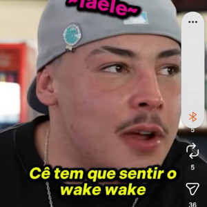 Imagem de Wale