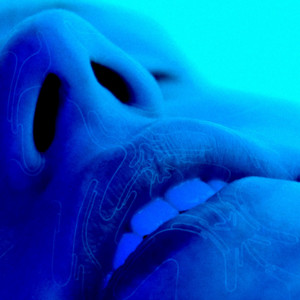 bluelips  cover