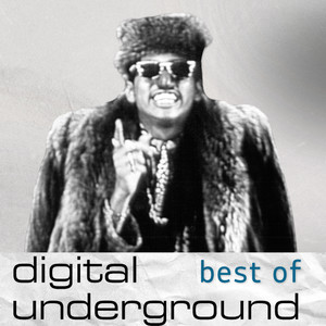 Digital Underground - Best Of - playlist by Tommy Boy | Spotify