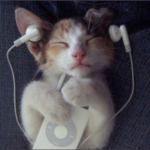 MEGAPLAYLIST — cover art