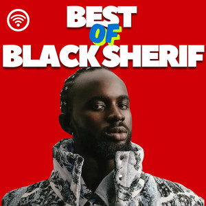 BEST OF BLACK SHERIF 2026 (AFROBEATS)  playlist cover