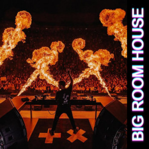 🔥BIG ROOM HOUSE🔥 cover