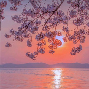 My Playlist пёџ Playlist By Lea27 Spotify