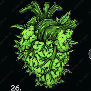 yo mama got no nipples  — cover art